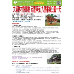 新春行大運 大埔林村許願樹 志蓮淨苑 九龍寨城公園一天